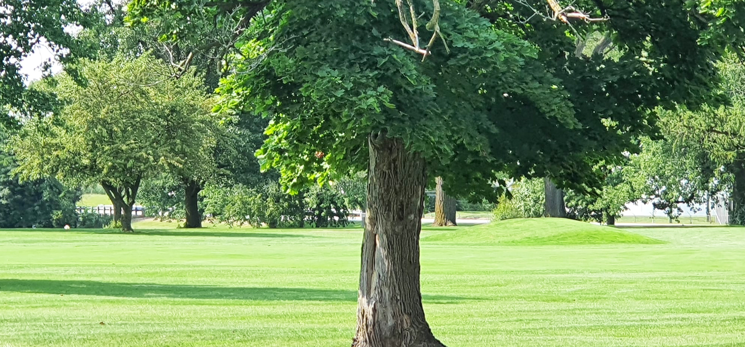 Loudon Meadows Golf Club